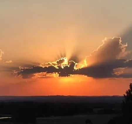 Domaine Du Colombier, La Renaissance *