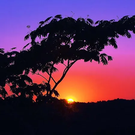 Domaine Du Colombier, La Renaissance * Larroque (Tarn)