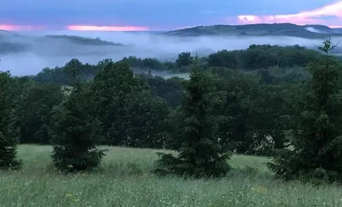 Casa vacanze Domaine Du Colombier, La Renaissance *